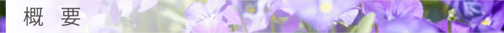 概要