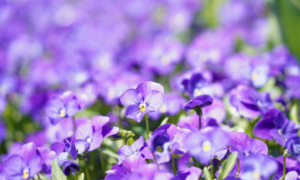 ProductionBase – お客様と環境によりそったサービスを提供します